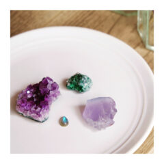 2021年2月のPOP UP EVENT