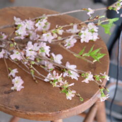 2021年4月のPOP UP EVENT