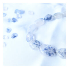 2022年2月のPOP UP EVENT